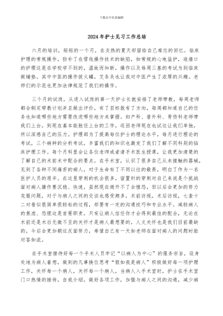 2024年护士见习工作总结