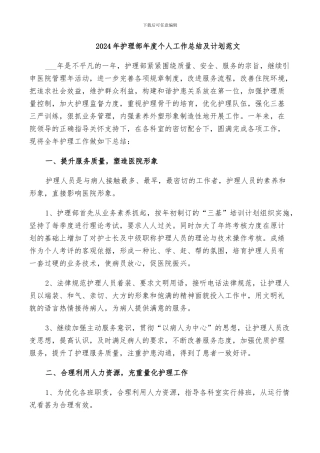 2024年护理部年度个人工作总结及计划范文