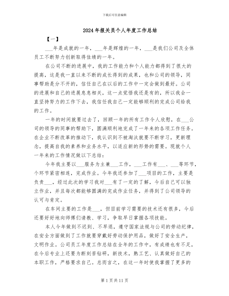 2024年报关员个人年度工作总结_第1页