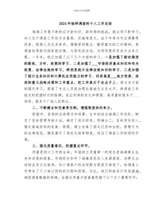 2024年抽样调查的个人工作总结
