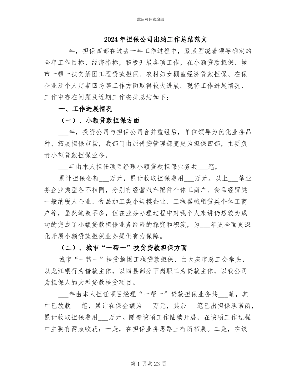 2024年担保公司出纳工作总结范文_第1页