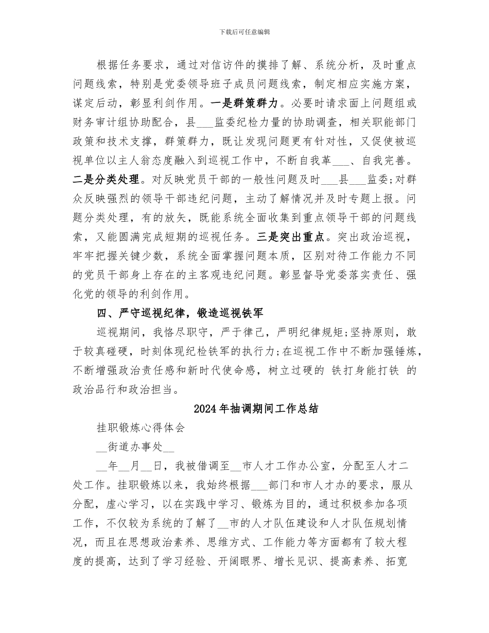 2024年抽调巡视巡察期间个人工作总结_第2页