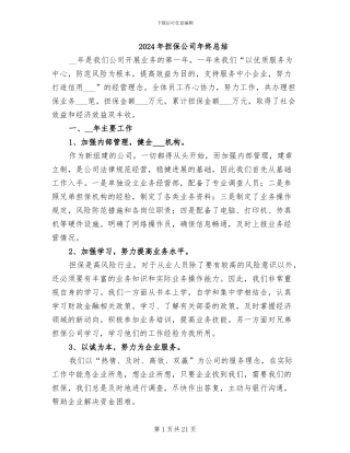 2024年担保公司年终总结