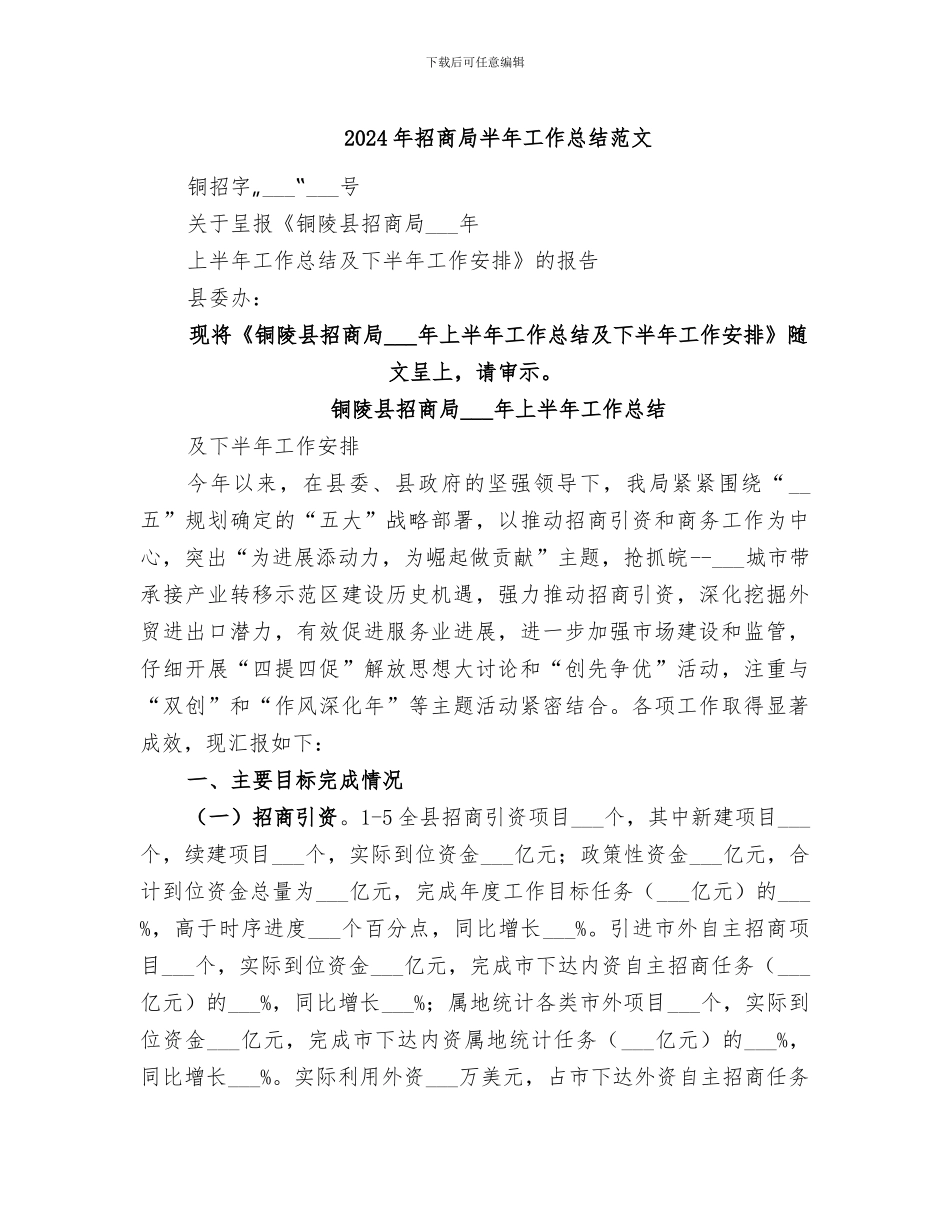 2024年招商局半年工作总结范文_第1页