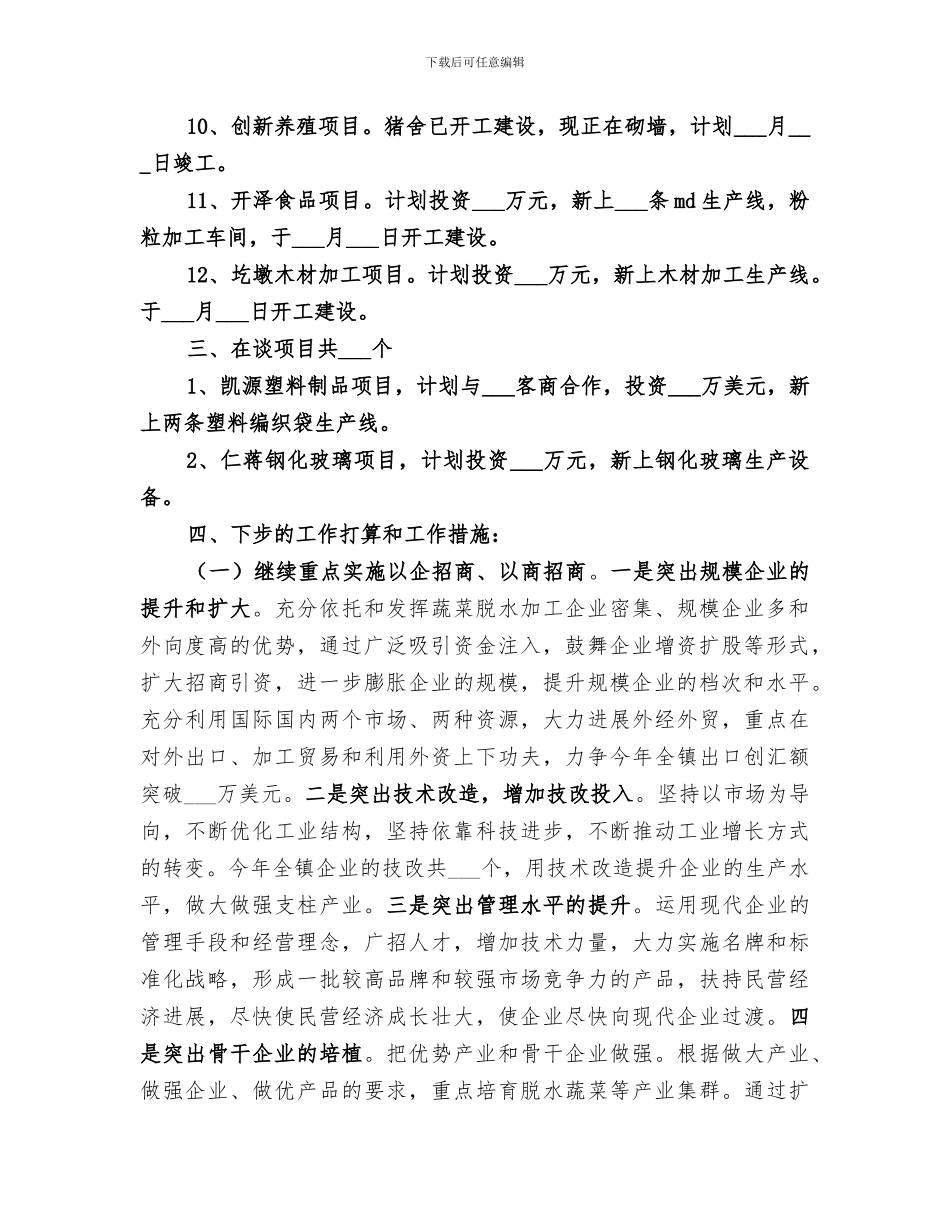 2024年招商引资下半年工作总结_第2页