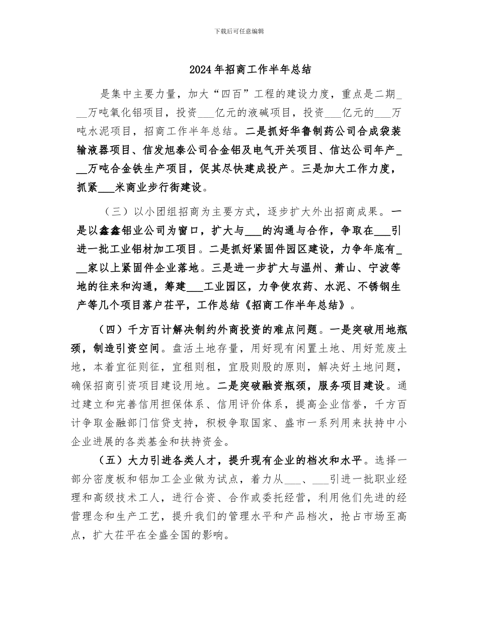 2024年招商工作半年总结_第1页