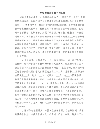 2024年挂职干部工作总结