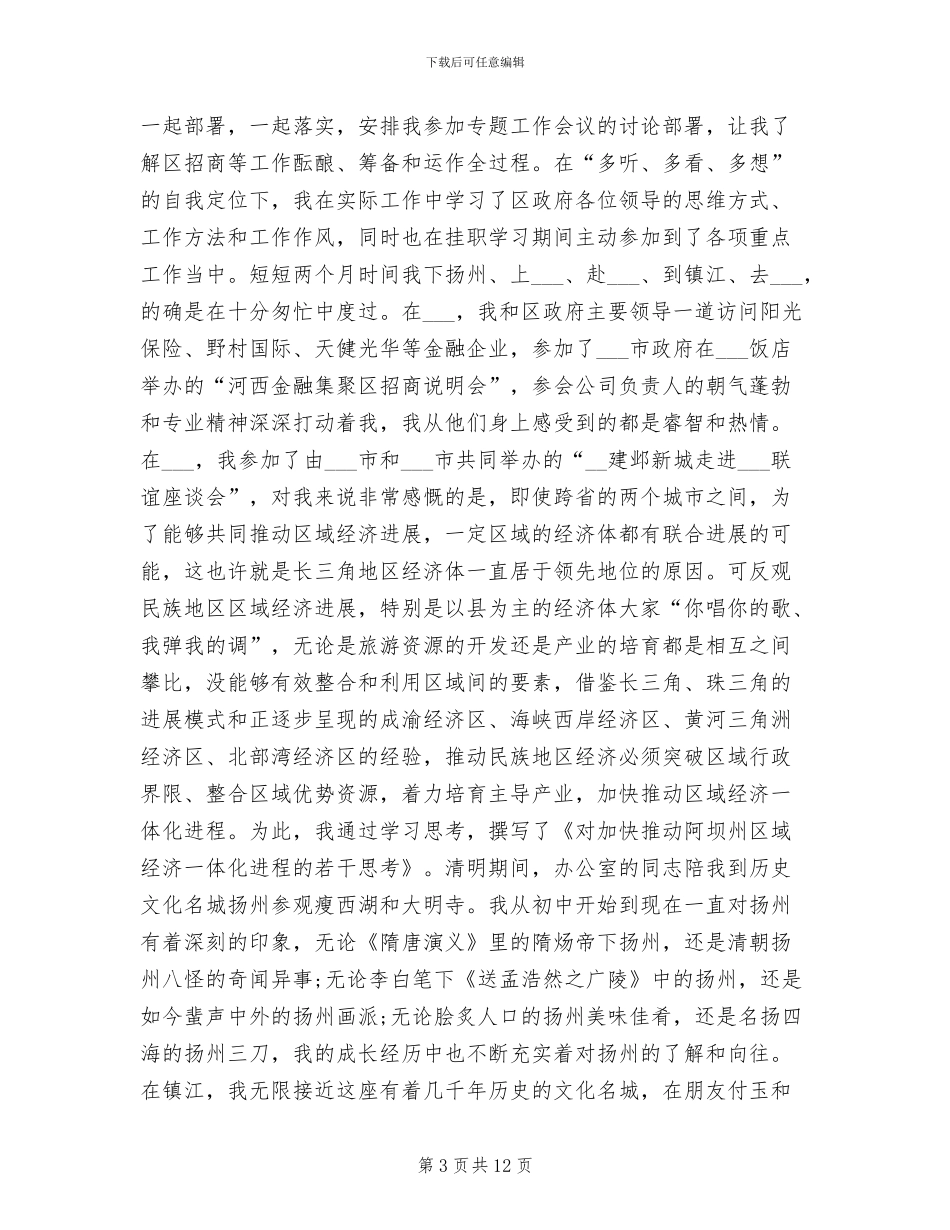 2024年挂职区长助理个人自我总结_第3页