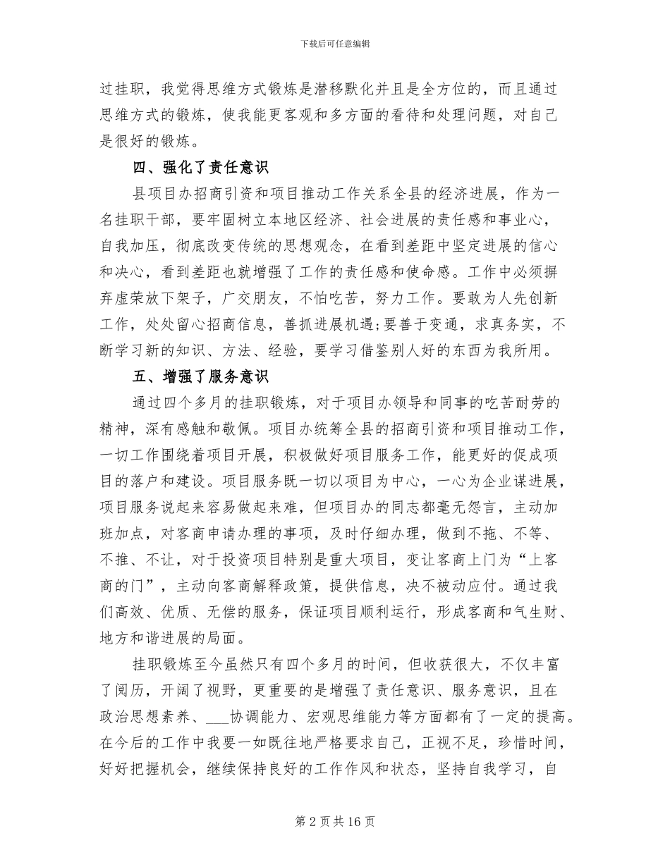 2024年挂职总结发言上派挂职工作总结_第2页