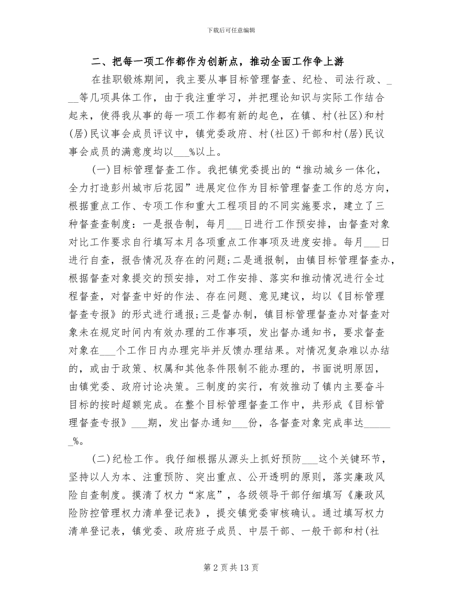 2024年挂职干部年终工作总结_第2页