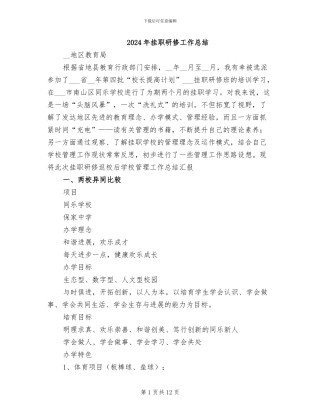 2024年挂职研修工作总结