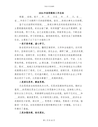 2024年挂职锻炼工作总结