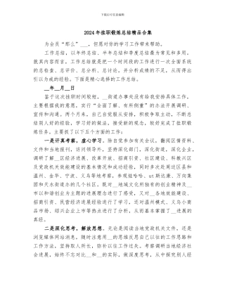 2024年挂职锻炼总结精品合集