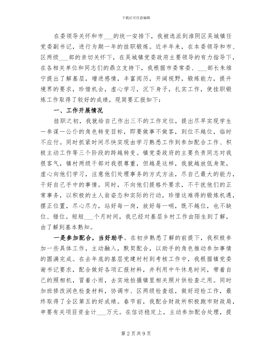 2024年挂职镇书记个人工作总结_第2页