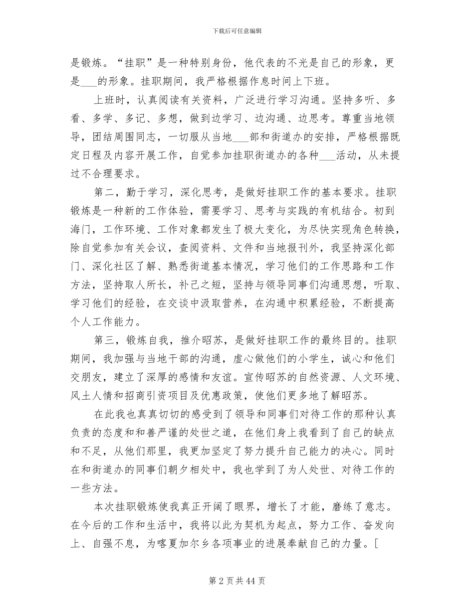 2024年挂职锻炼工作总结格式_第2页