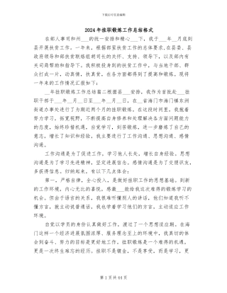 2024年挂职锻炼工作总结格式