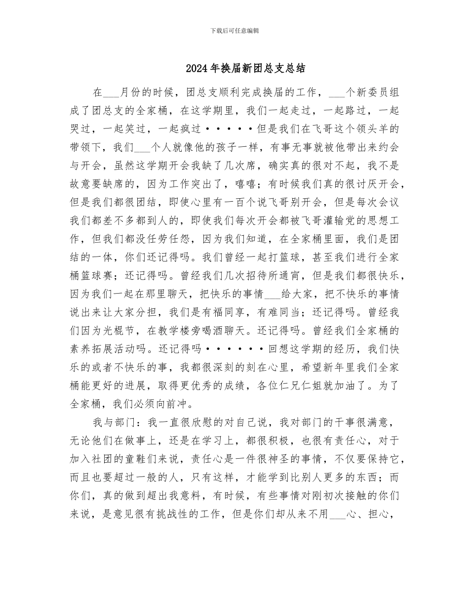 2024年换届新团总支总结_第1页
