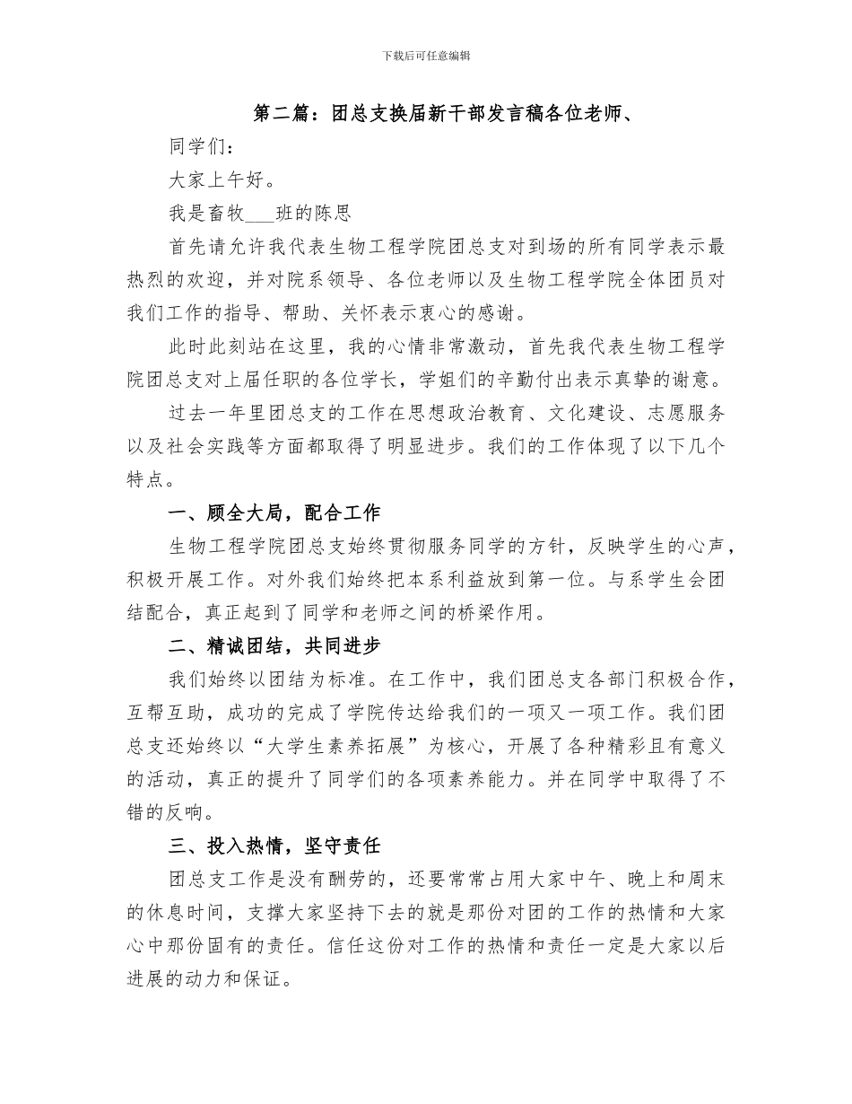 2024年换届新团总支总结_第3页