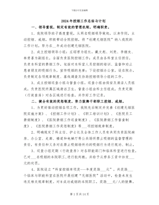 2024年控烟工作总结与计划