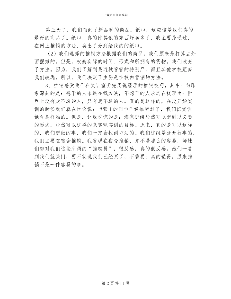 2024年推销个人工作总结_第2页
