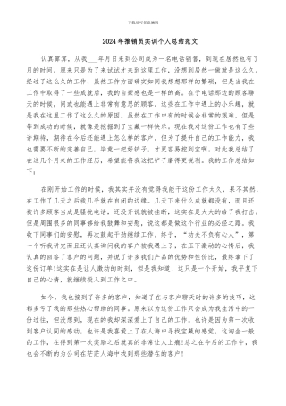 2024年推销员实训个人总结范文