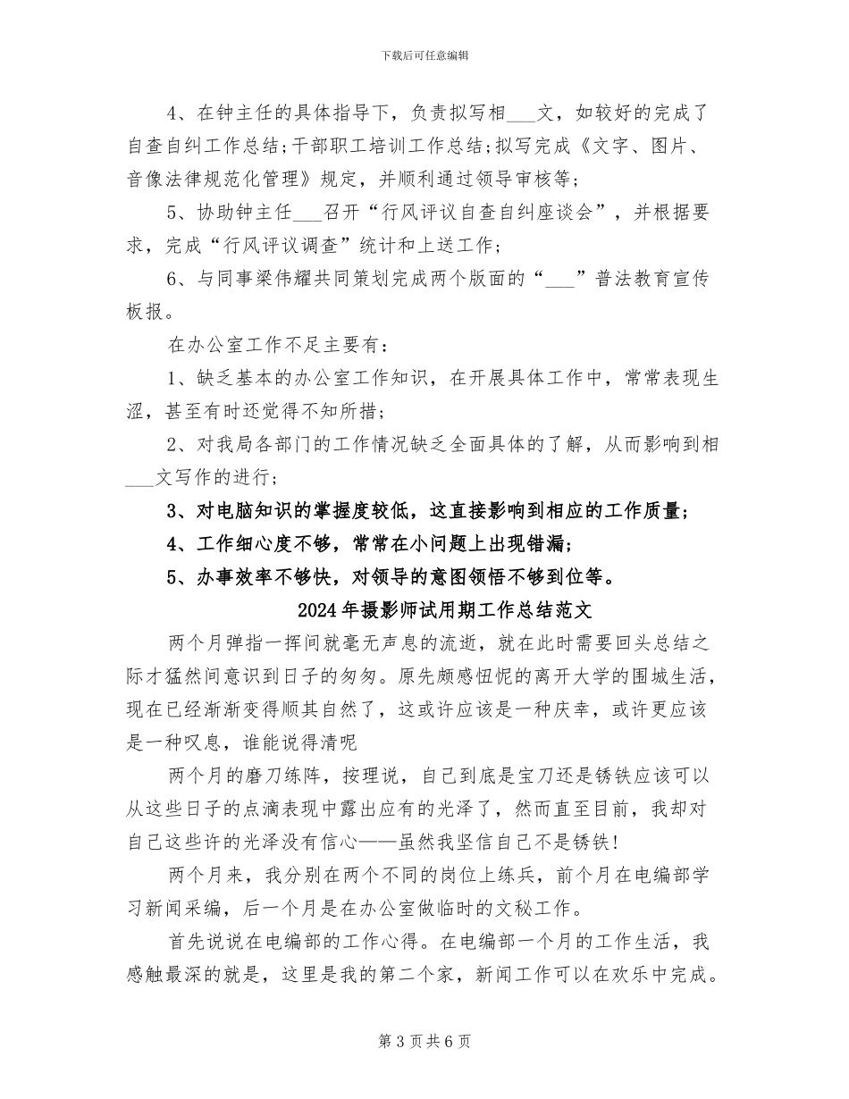 2024年摄影师试用期工作总结_第3页