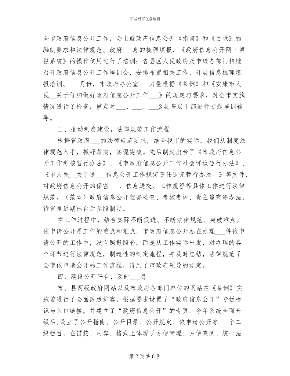 2024年政府信息公开总结_第2页