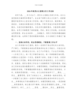 2024年政府办公室副主任工作总结