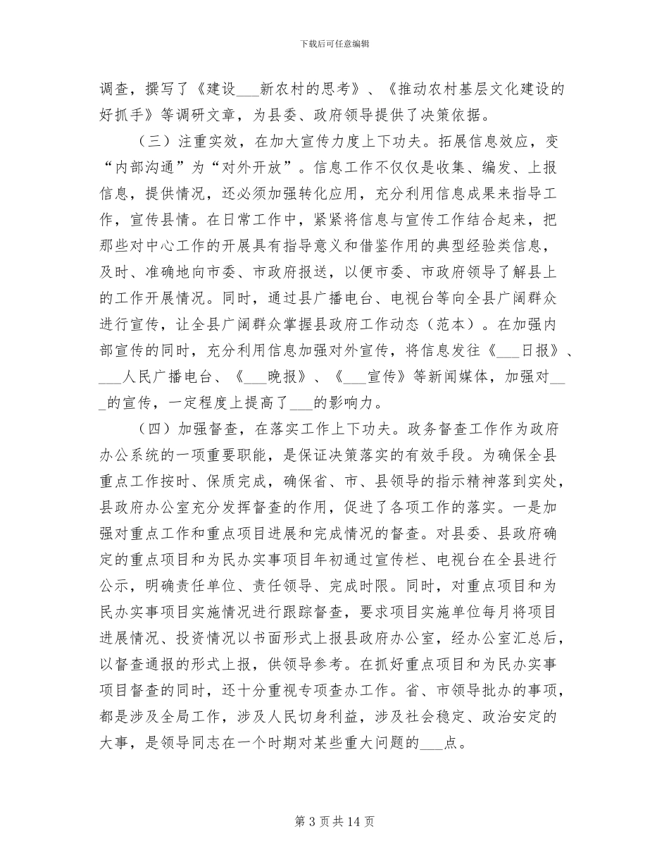 2024年政府督查总结经验_第3页