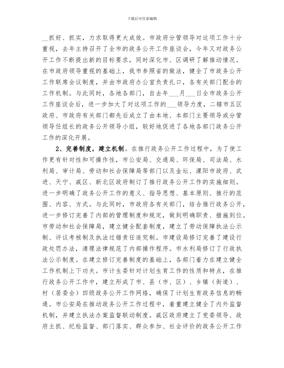 2024年政府政务公开总结_第2页