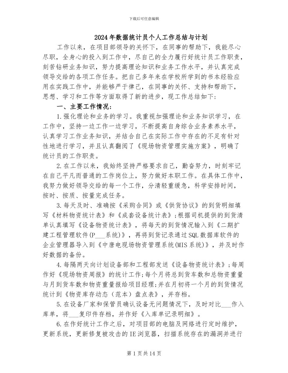 2024年数据统计员个人工作总结与计划_第1页
