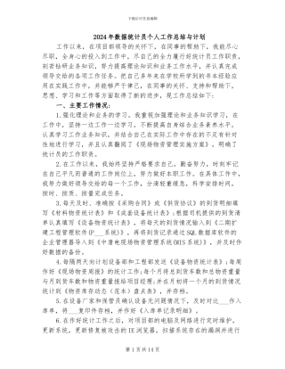 2024年数据统计员个人工作总结与计划