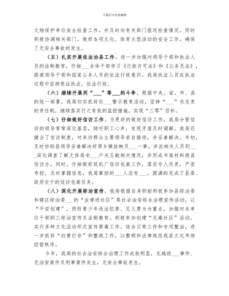 2024年文体局综治工作总结范本_第3页