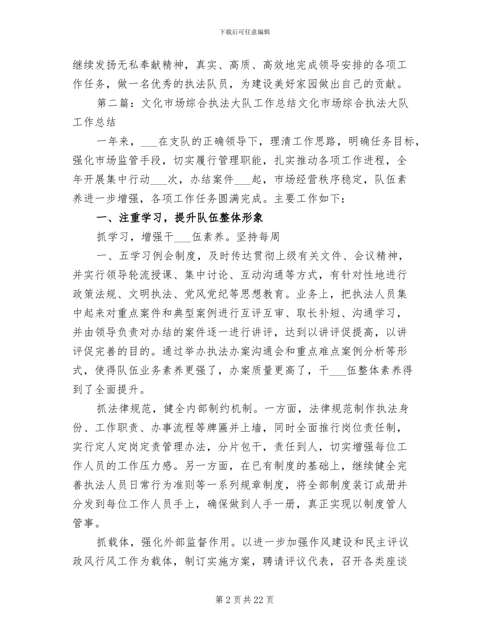2024年文化市场综合执法大队个人工作总结_第2页