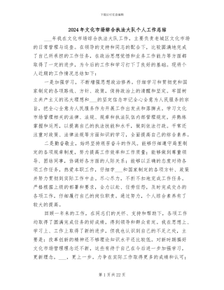 2024年文化市场综合执法大队个人工作总结