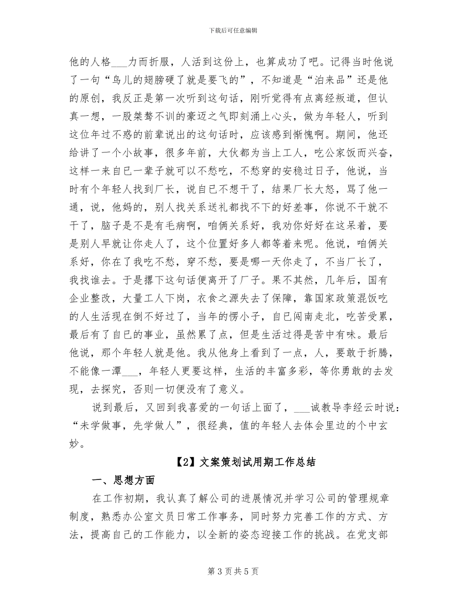 2024年文案策划试用期工作总结_第3页