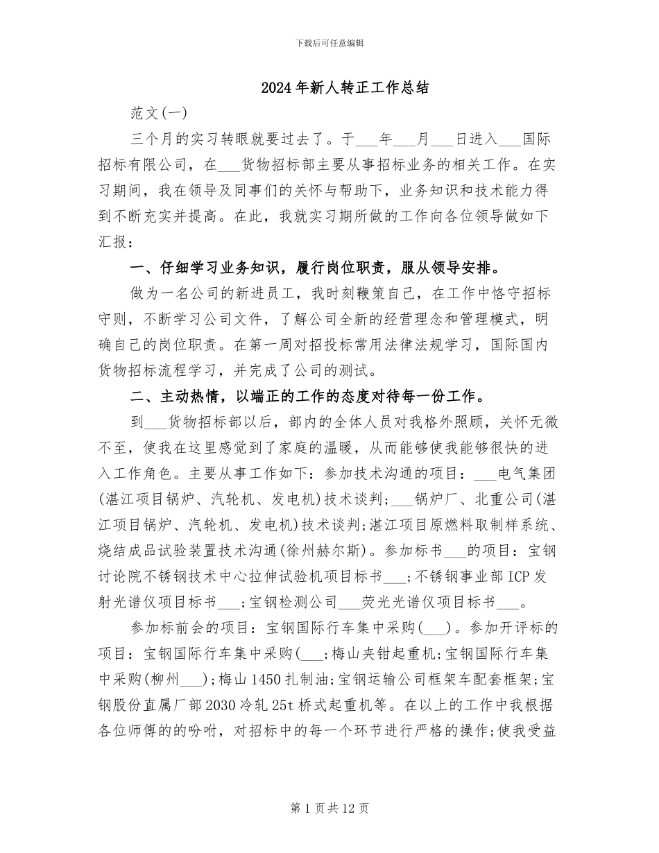 2024年新人转正工作总结_第1页