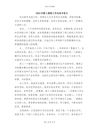 2024年新人销售工作总结书范文