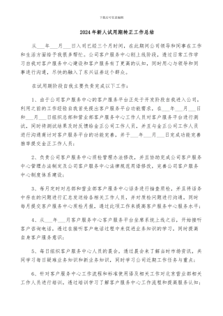2024年新人试用期转正工作总结