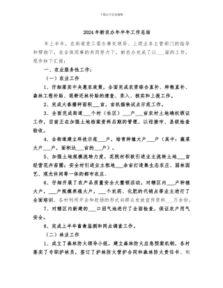 2024年新农办年半年工作总结
