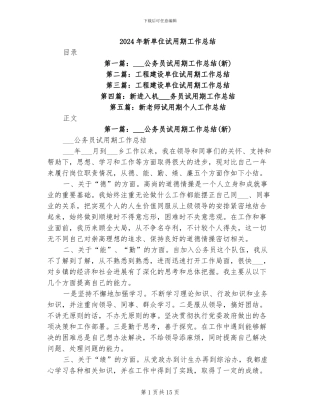 2024年新单位试用期工作总结