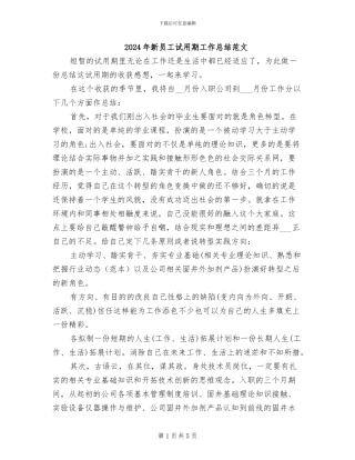 2024年新员工试用期工作总结范文