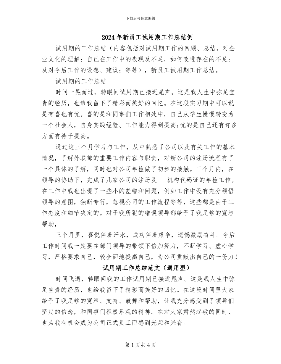 2024年新员工试用期工作总结例_第1页