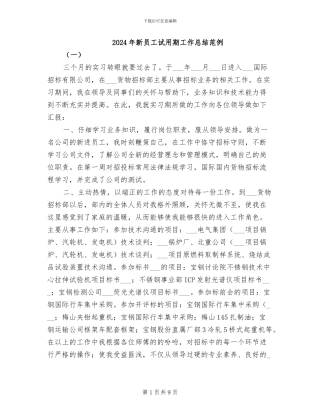 2024年新员工试用期工作总结范例