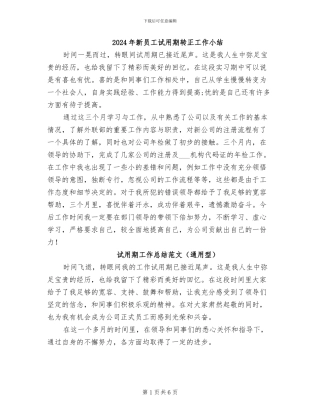 2024年新员工试用期转正工作小结