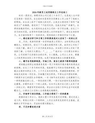 2024年新员工试用期转正工作总结三