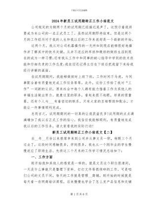 2024年新员工试用期转正工作小结范文
