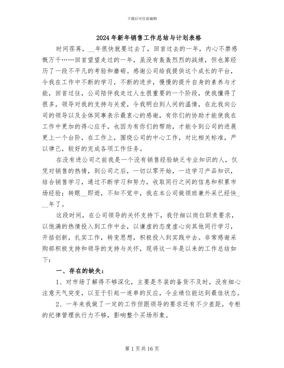 2024年新年销售工作总结与计划表格_第1页
