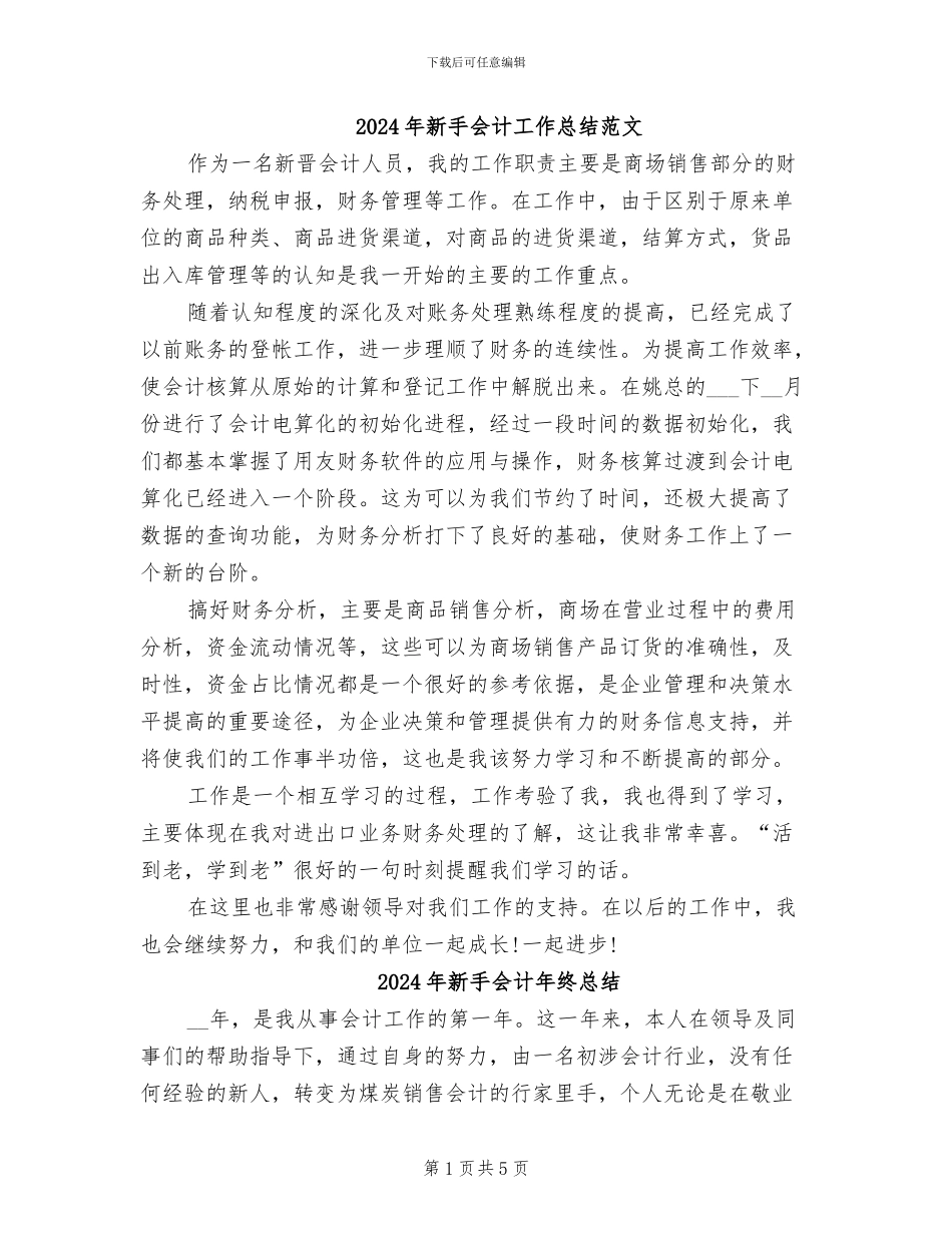 2024年新手会计工作总结范文_第1页