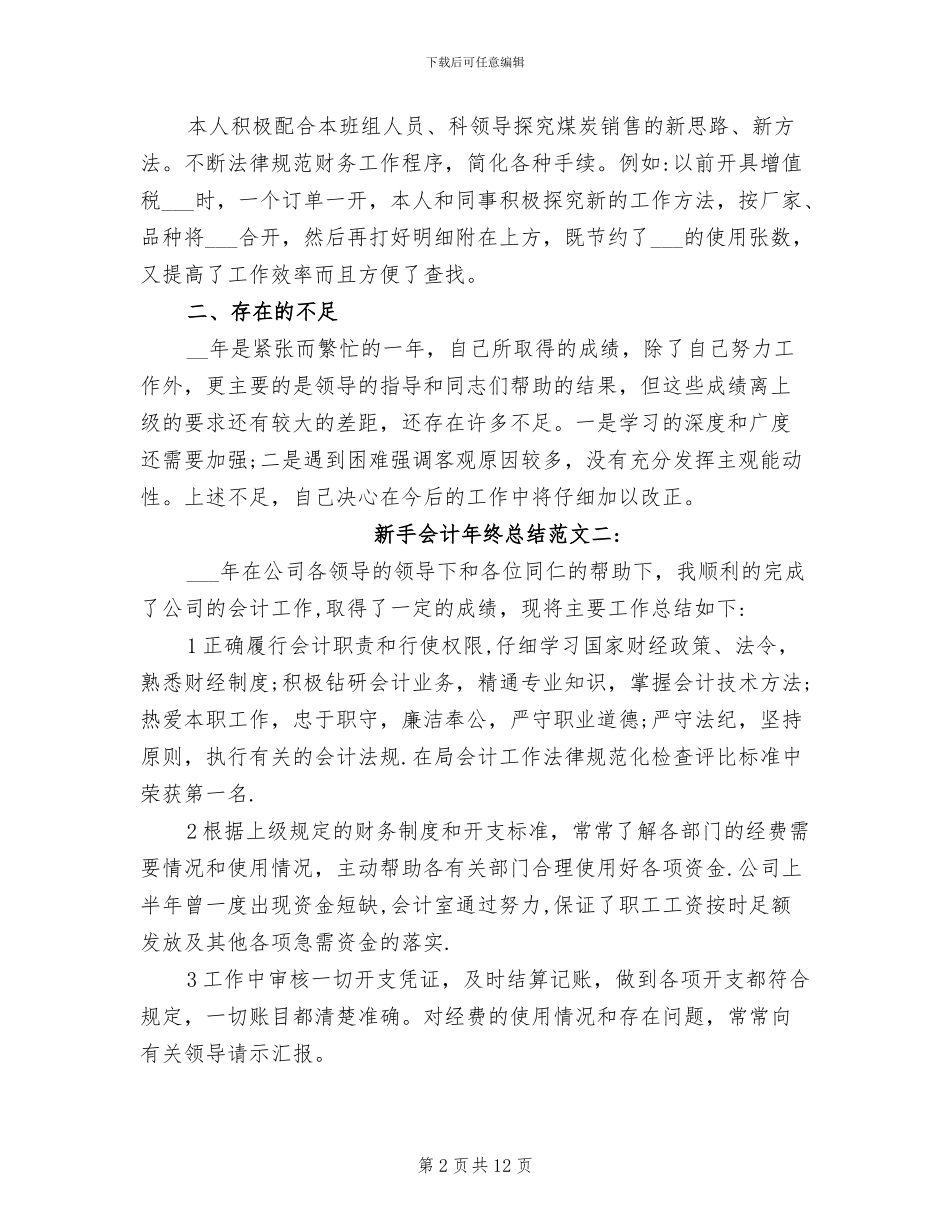 2024年新手会计年终总结范文_第2页